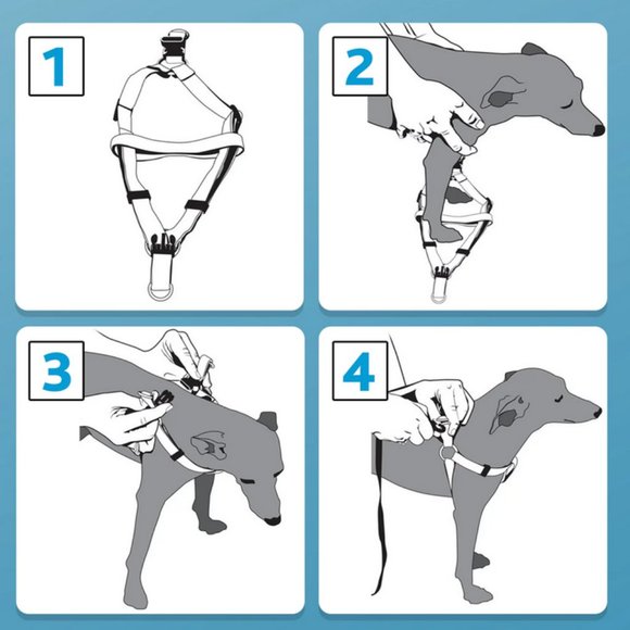 NWT ~ Vibrant Life Nylon Bright Pink Step-in Harness For Dogs (Size: Medium) - Picture 5 of 5